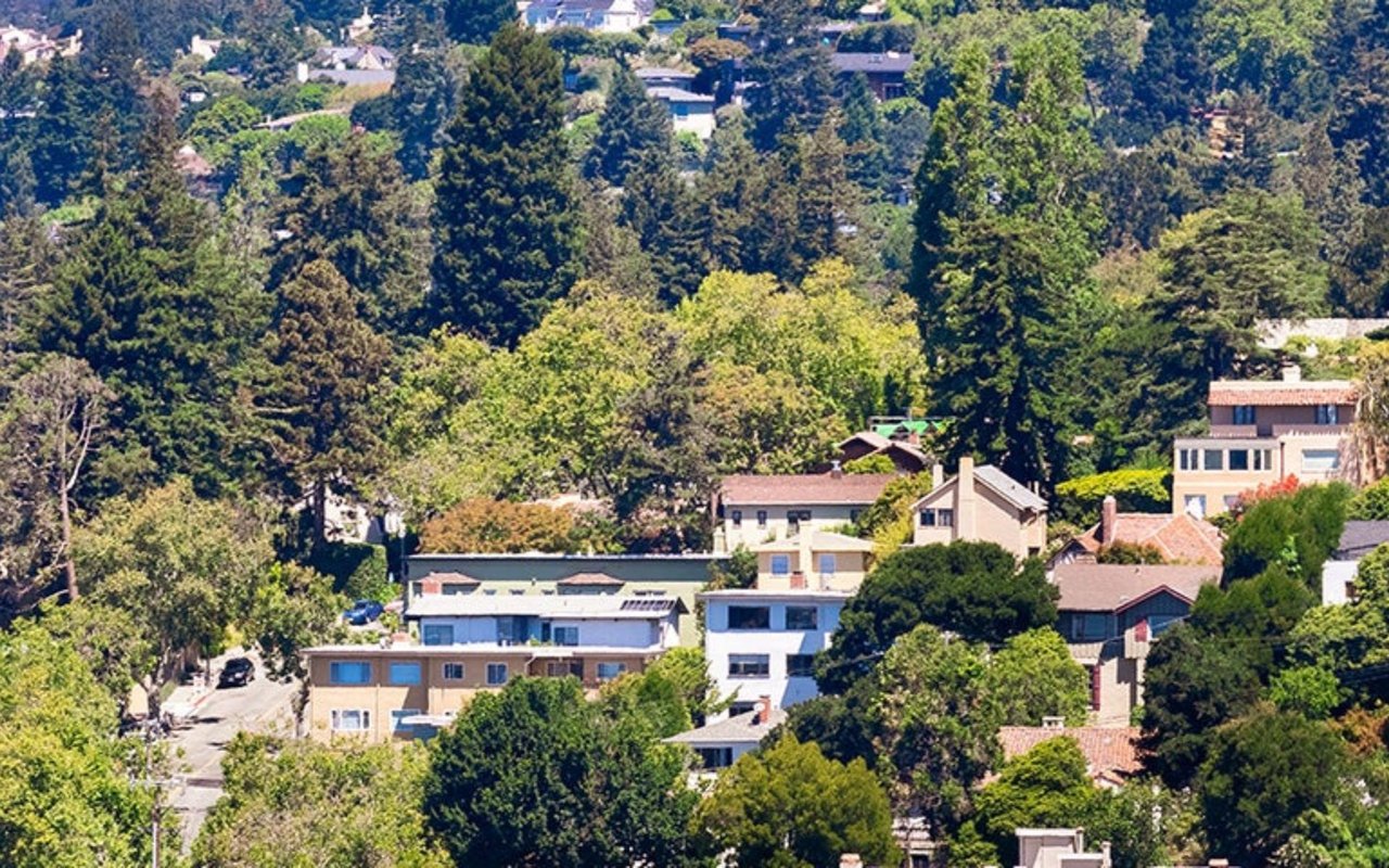Hillside homes surrounded by dense trees, with wooded slopes behind the neighborhood.