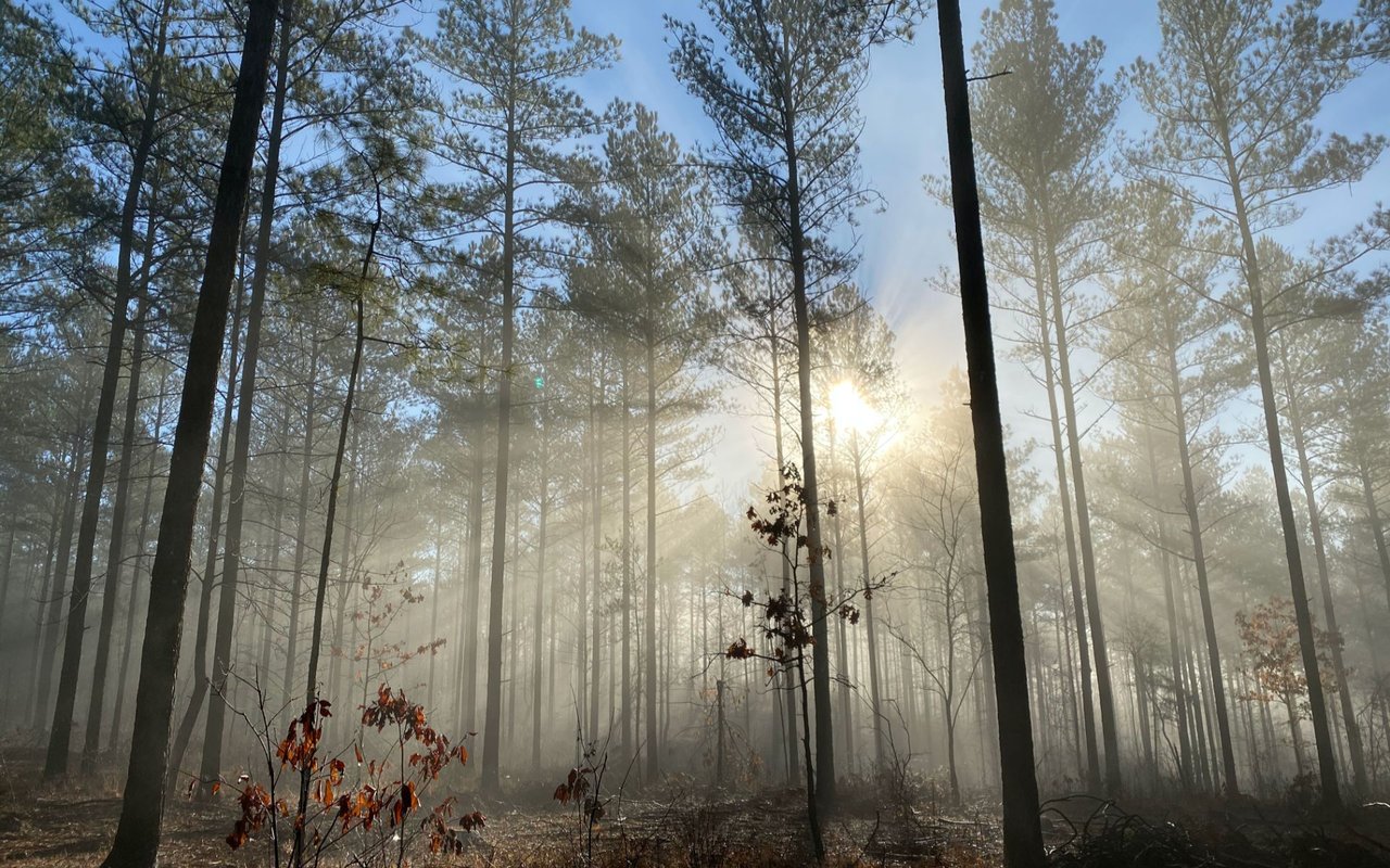 Saugahatchee Crossing