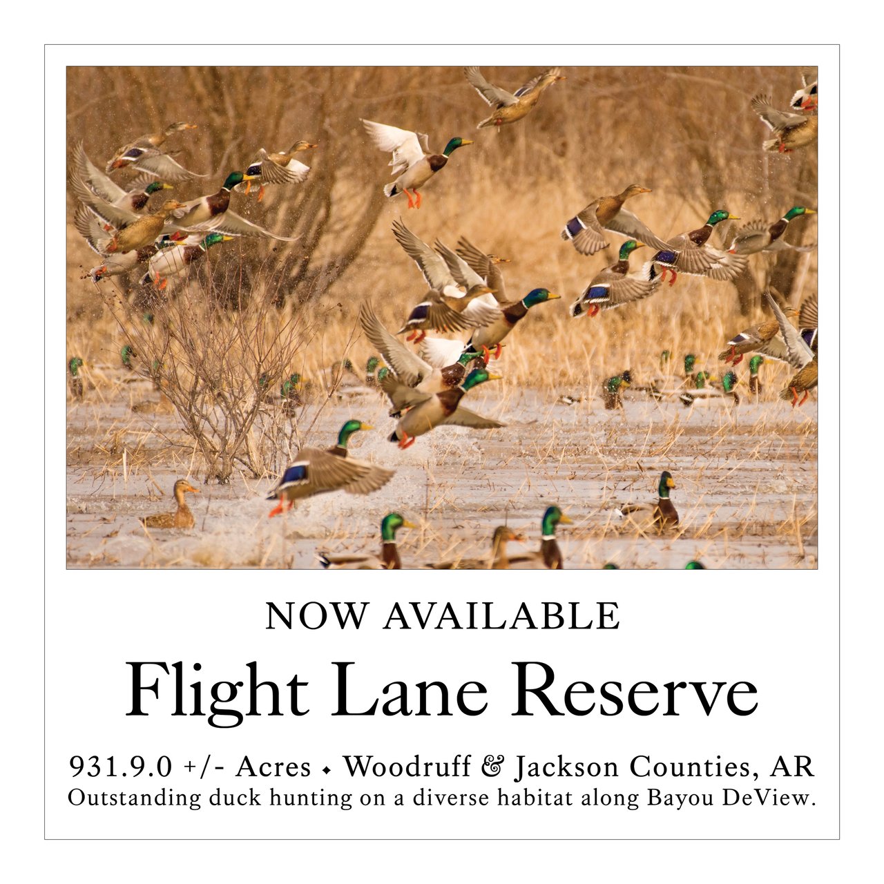 Flight Lane Reserve 