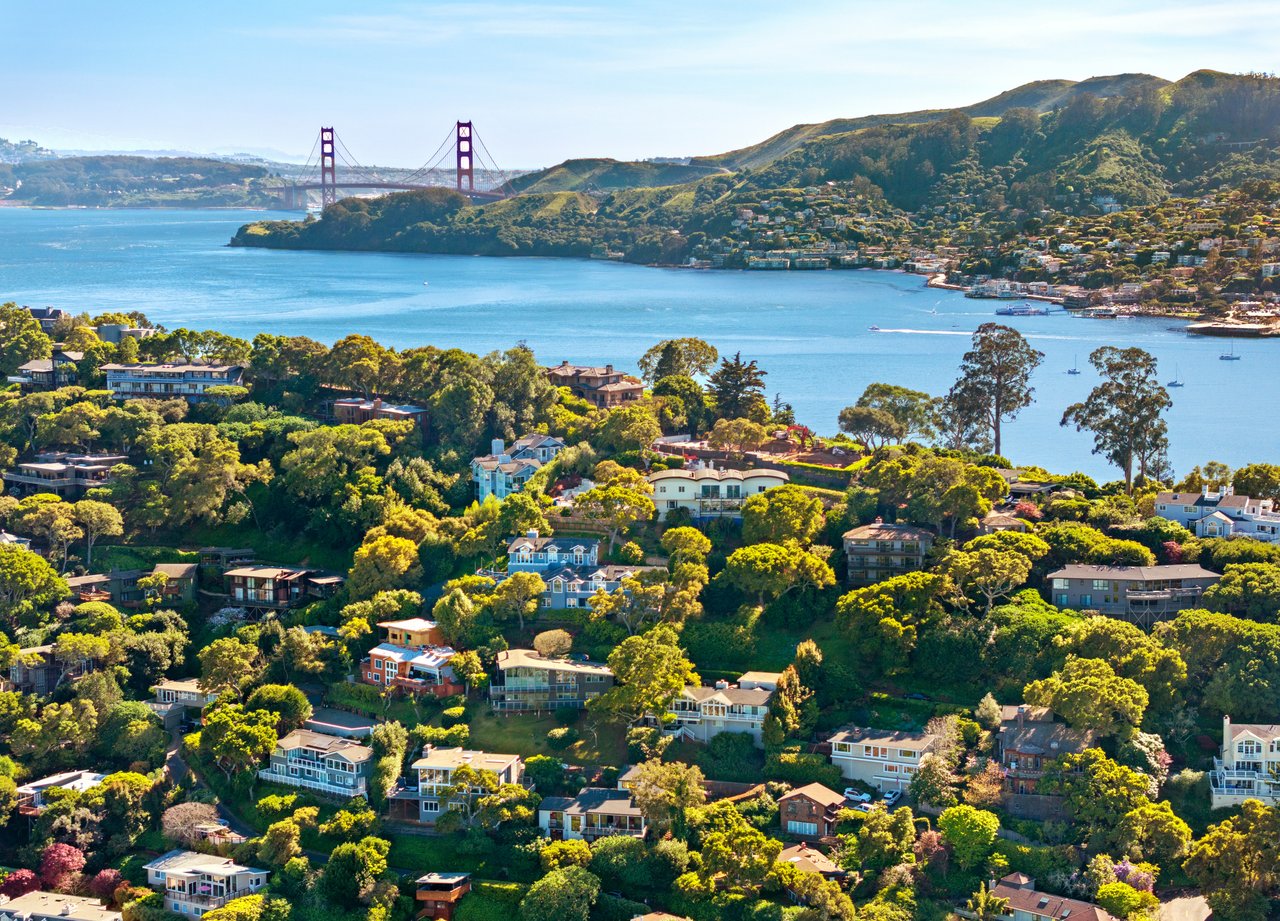 Contemporary Gem on Belvedere Island