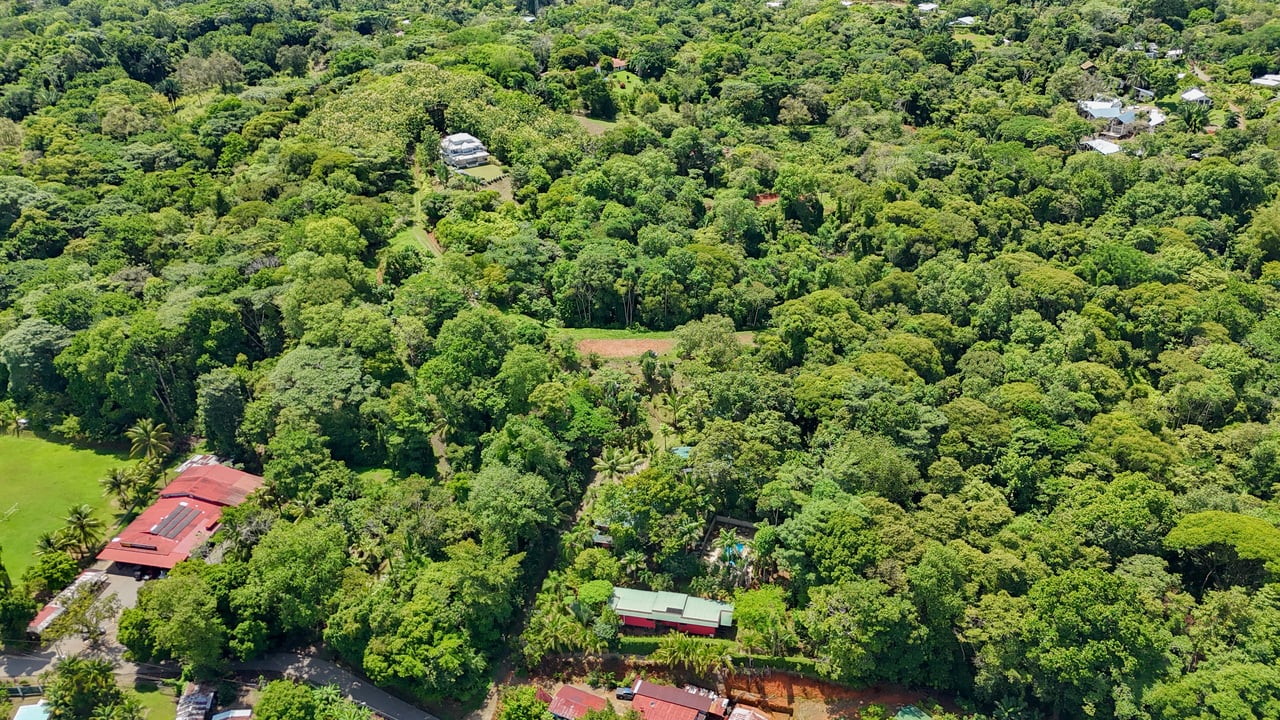 Ojochal Property for Sale – Cabins, Restaurant & 3-Bed Home