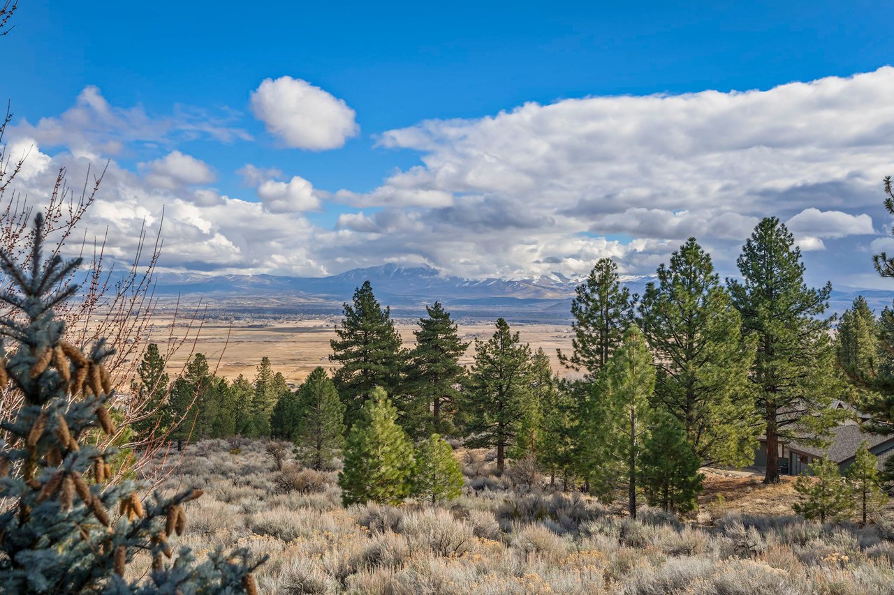 220 Sheridan Creek Court
