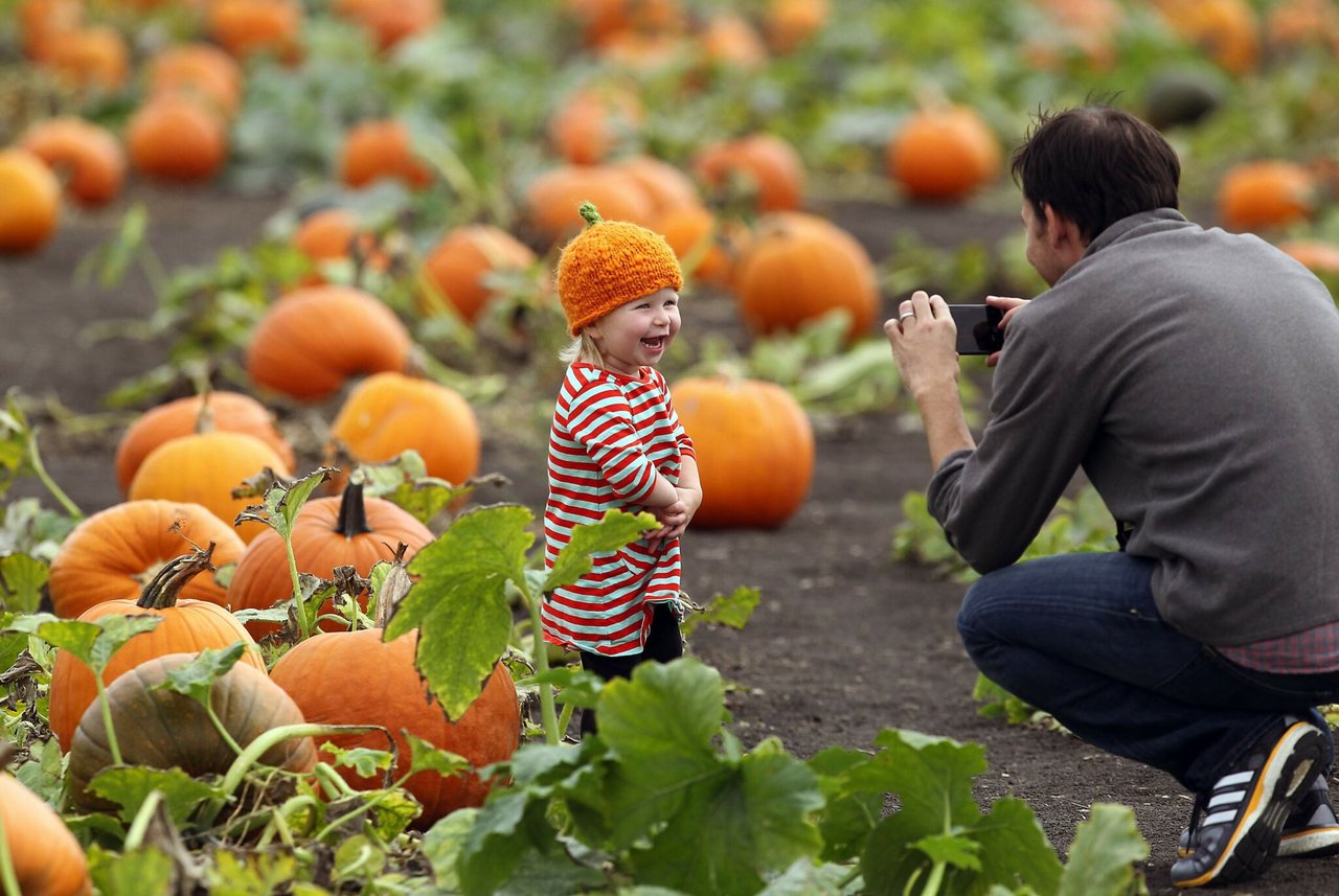 The Ultimate Guide to Sonoma County Pumpkin Patches in 2026