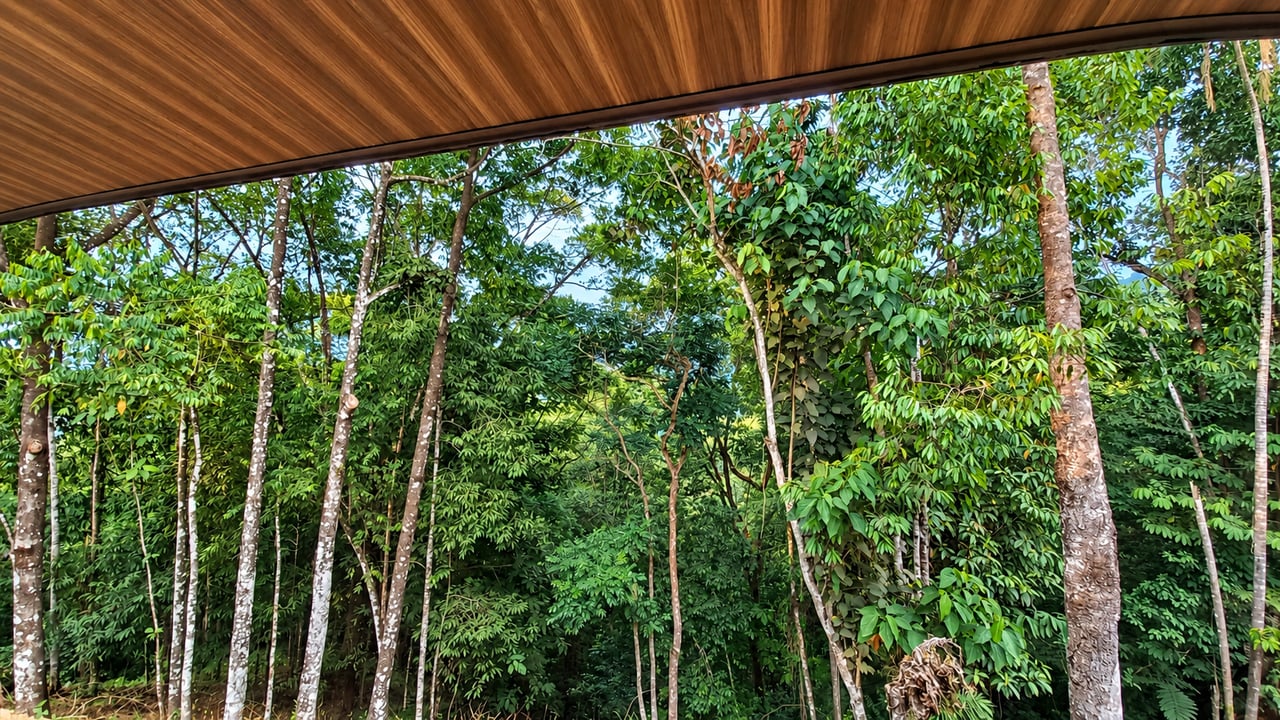 Tinamastes Mountain Escape | Cool Climate, Nature & Endless Potential