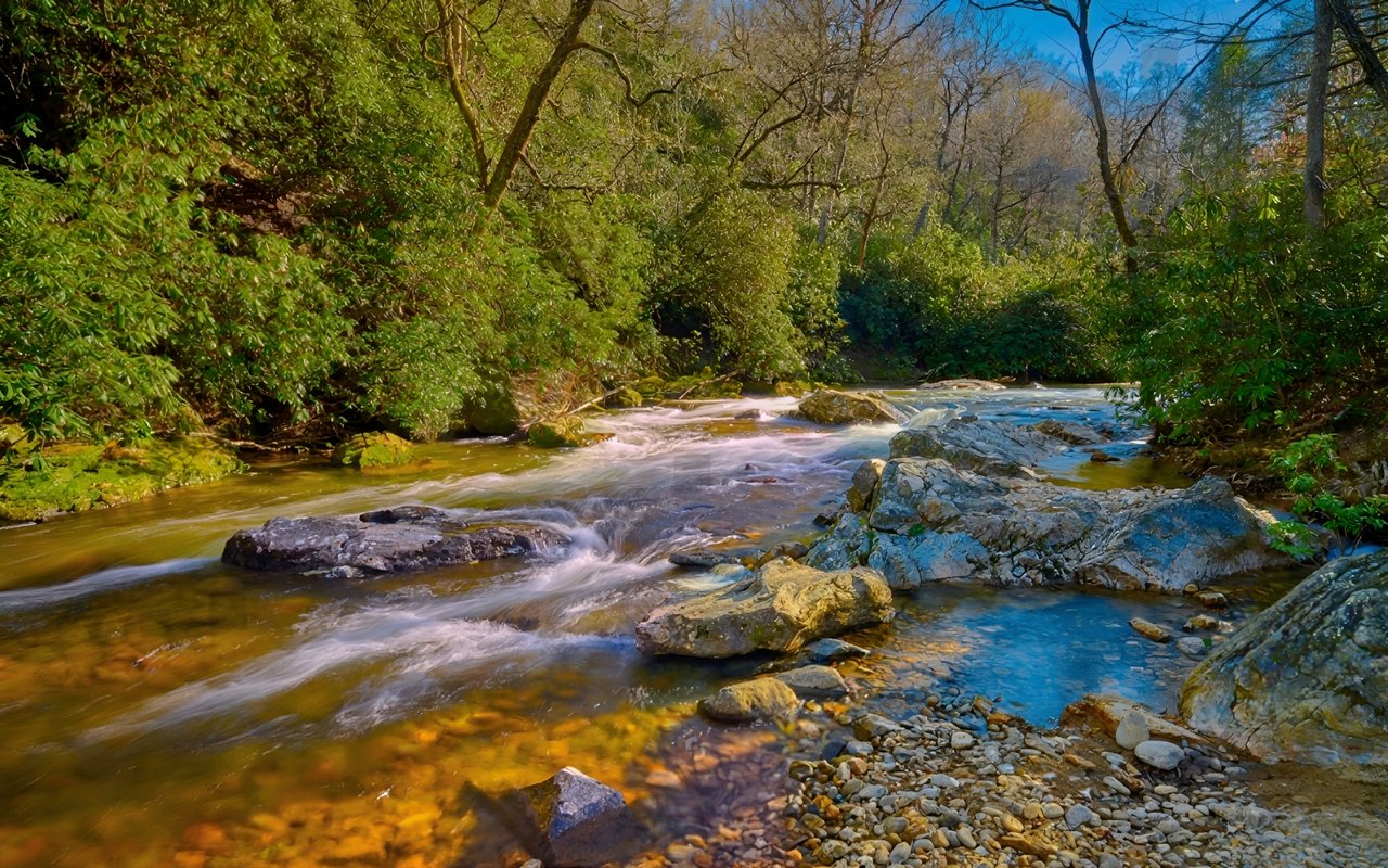 Mills River