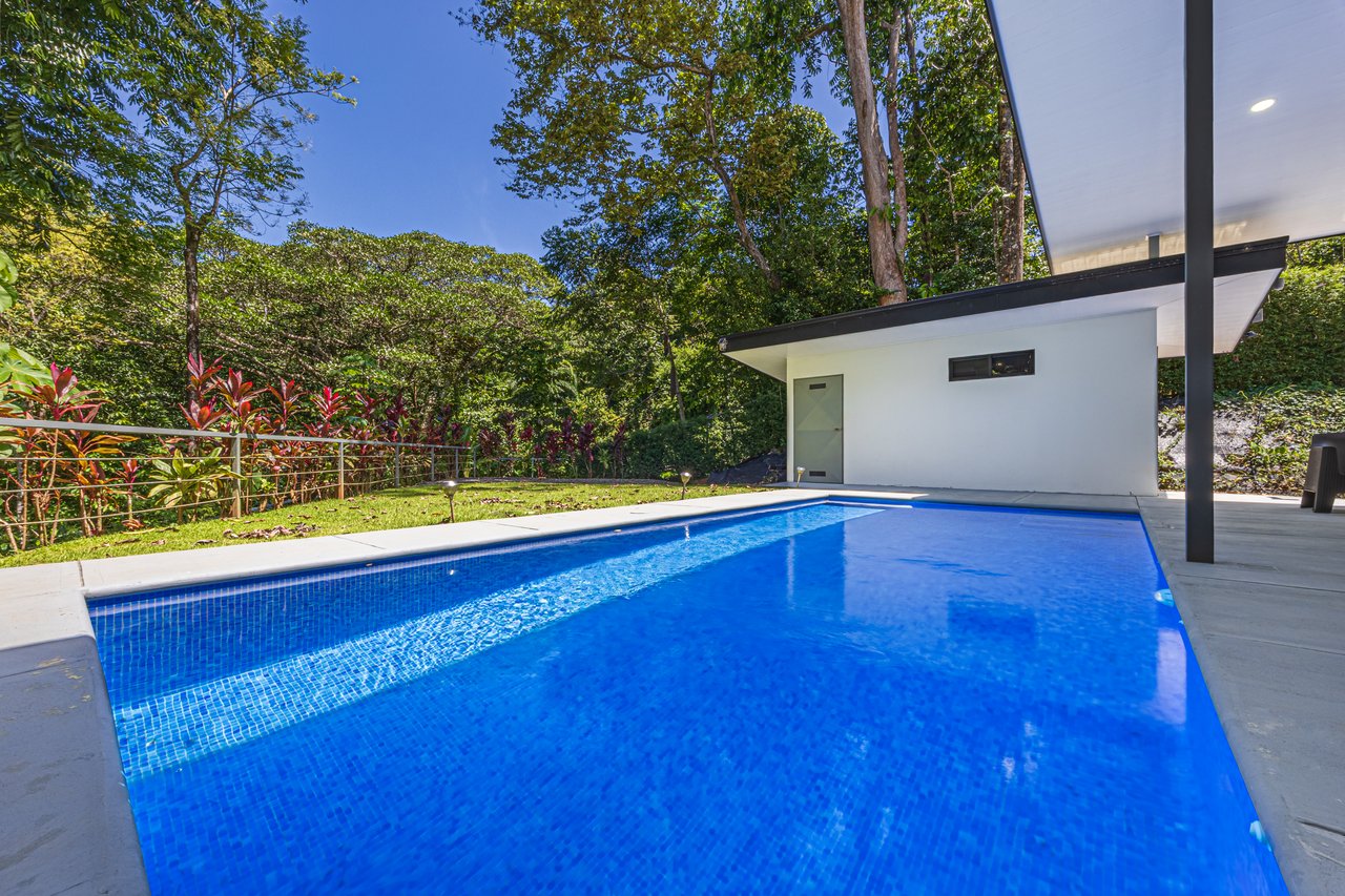 Cinco Ventanas Jungle Life Redefined