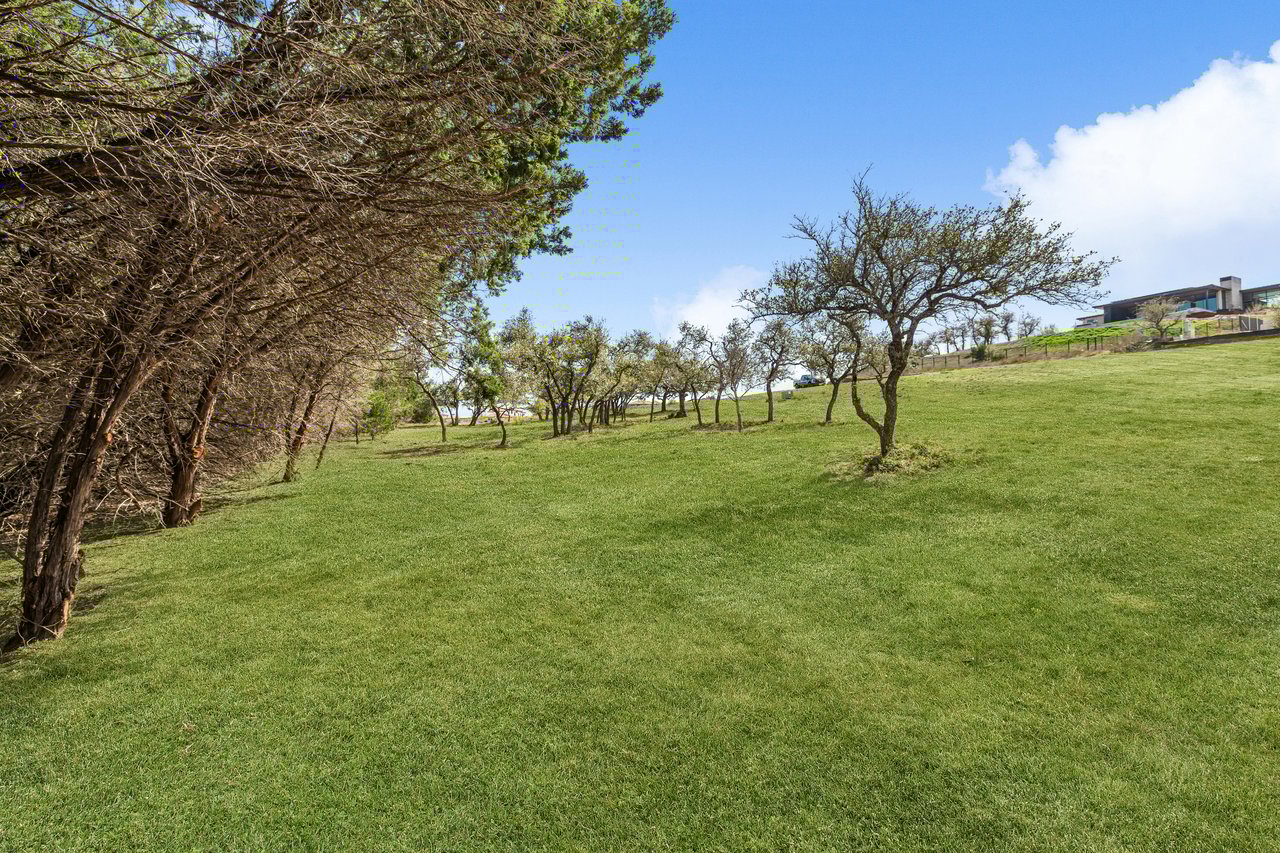12108 Honey Mesquite Way