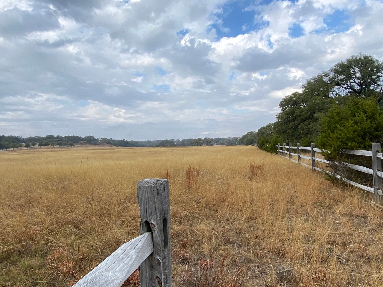 100 Dario Dr. Dripping Springs  Tx 78620