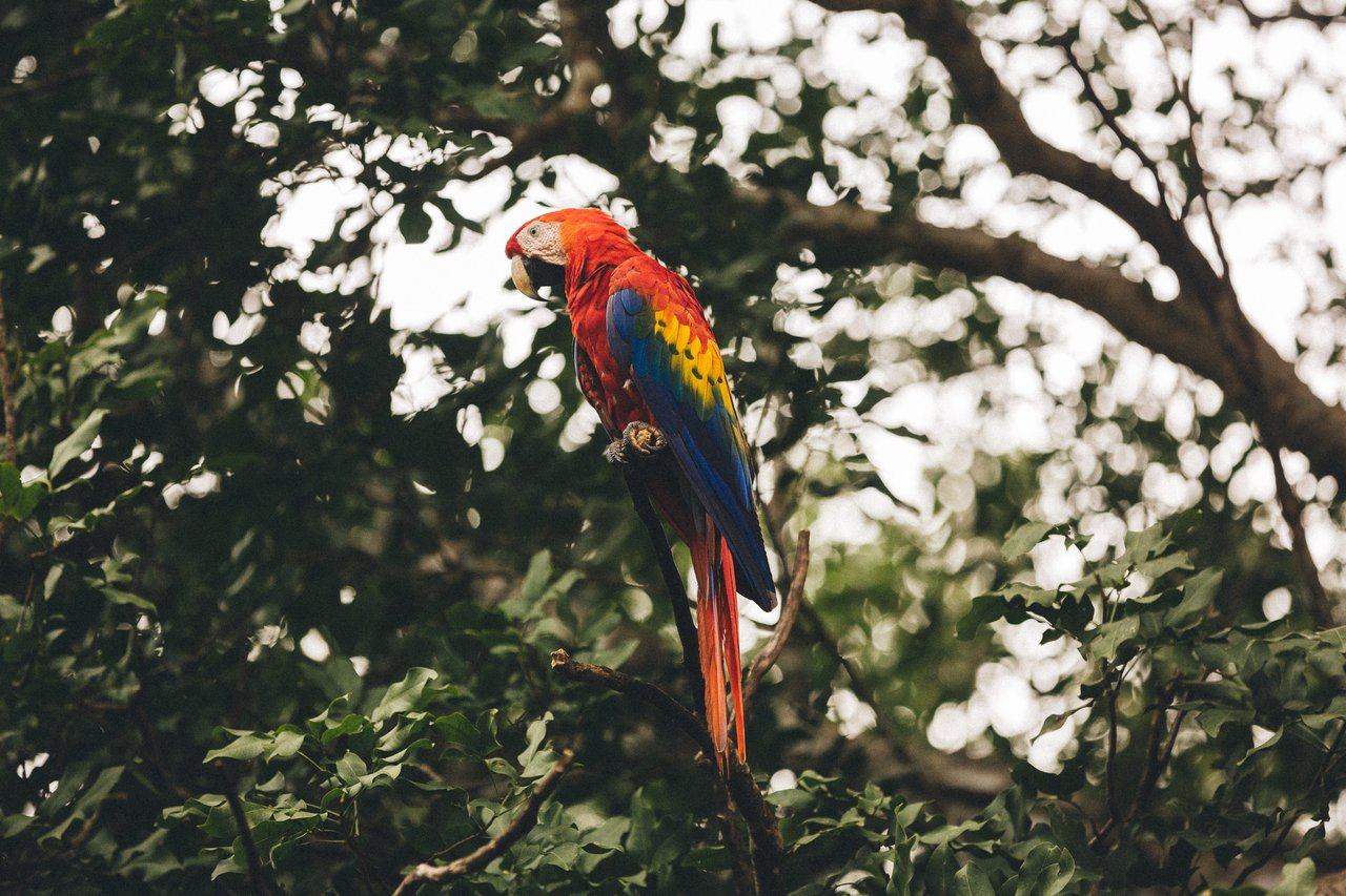  Punta Sabana & Mar Serena