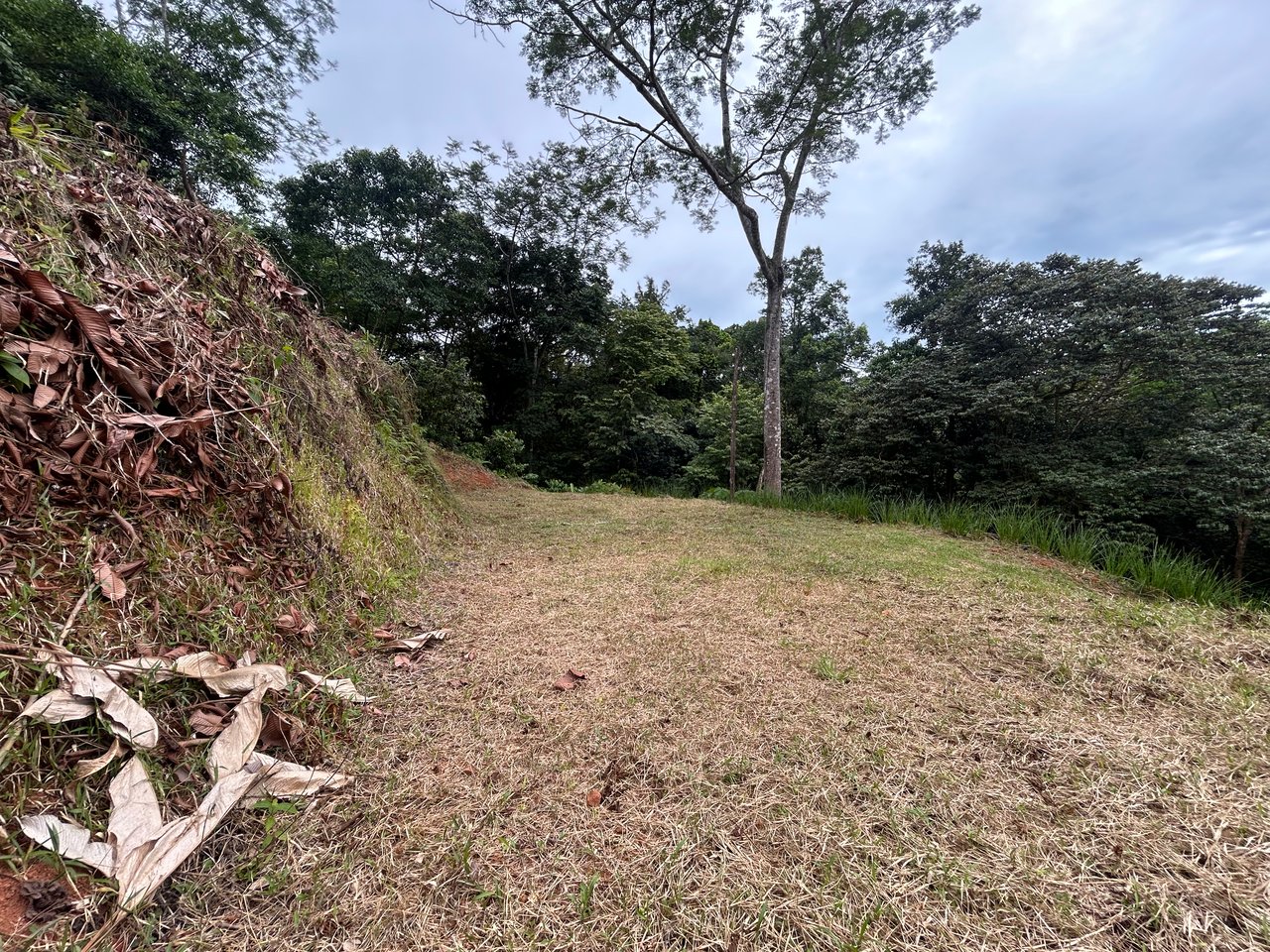 Beautiful Lot in Phase 9 Ojochal, Gated Communuity - NOW WITH LEGAL WATER