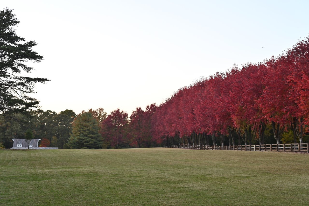Silver Maple Manor