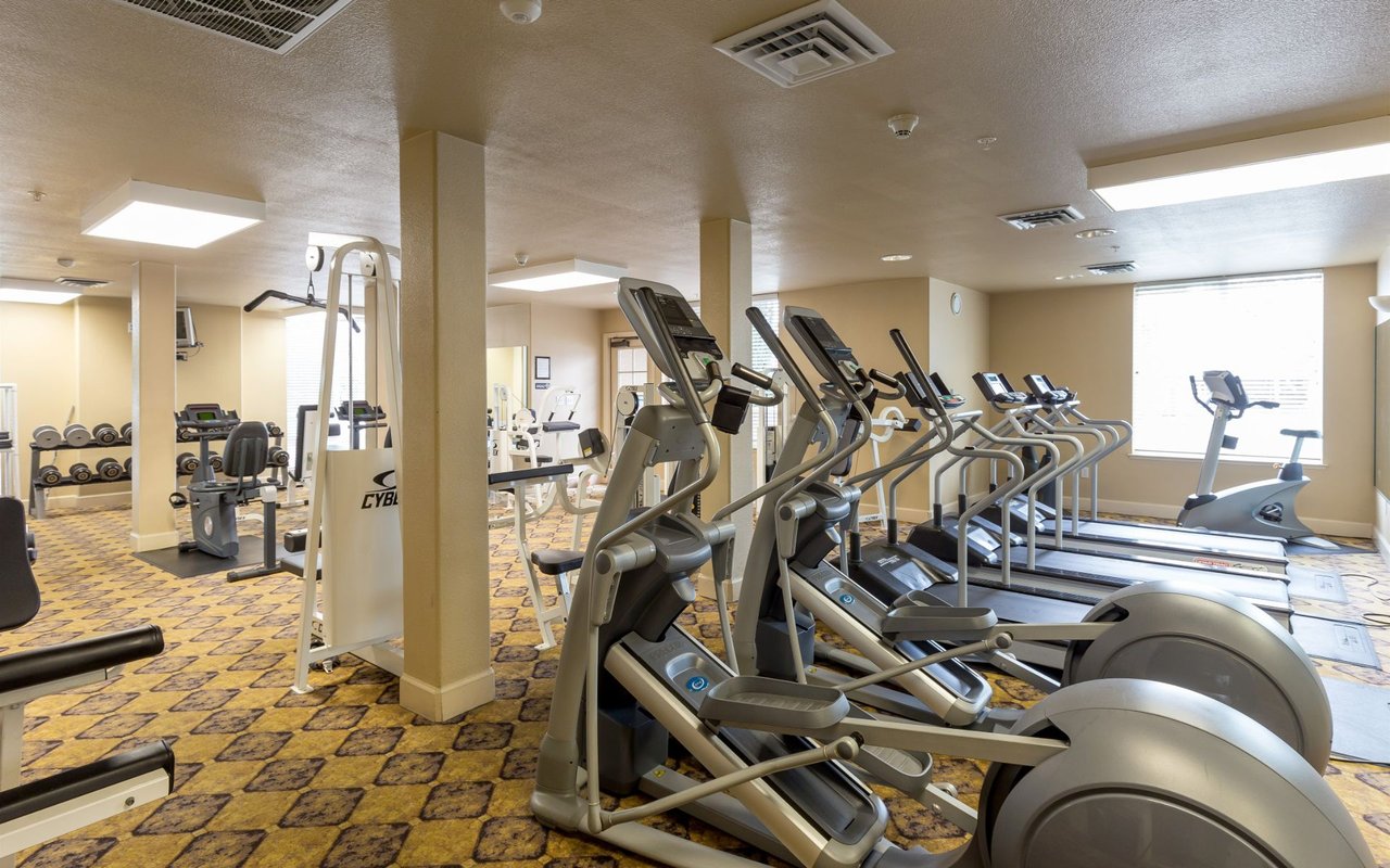 801 S Winchester Blvd, #6102
