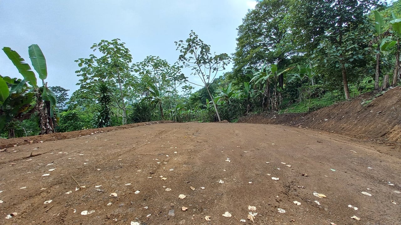 Mountain View Land with Several Building Sites and Mature Fruit Trees