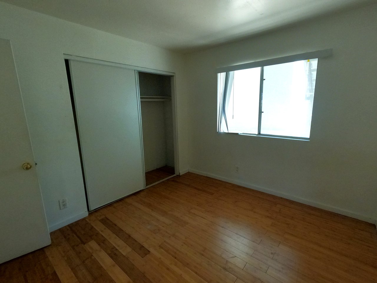 Modern Condo Haven on Pine Avenue