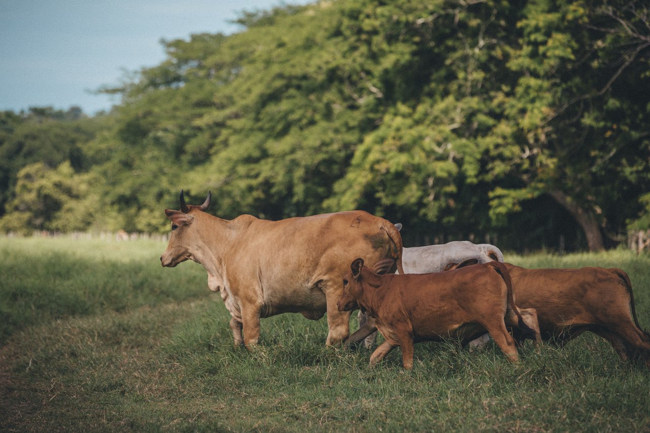  Punta Sabana & Mar Serena