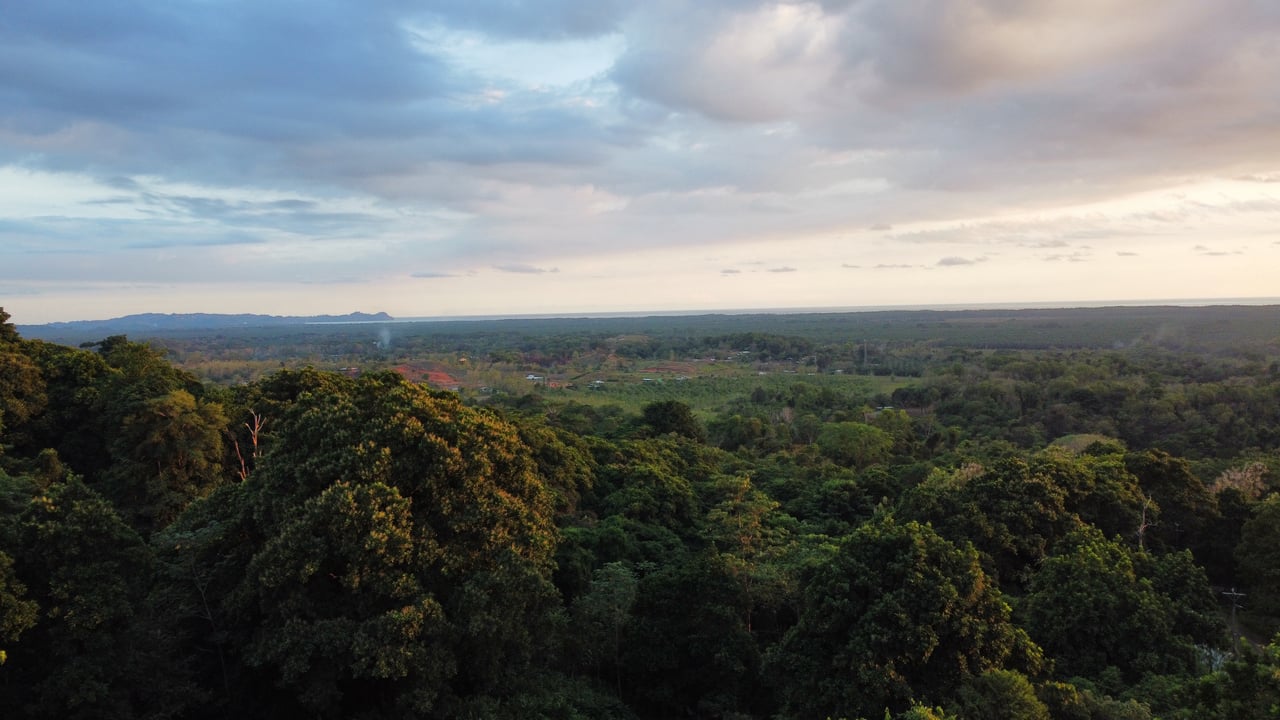 Villa Vista Hermosa | Nature refuge near Manuel Antonio National Park