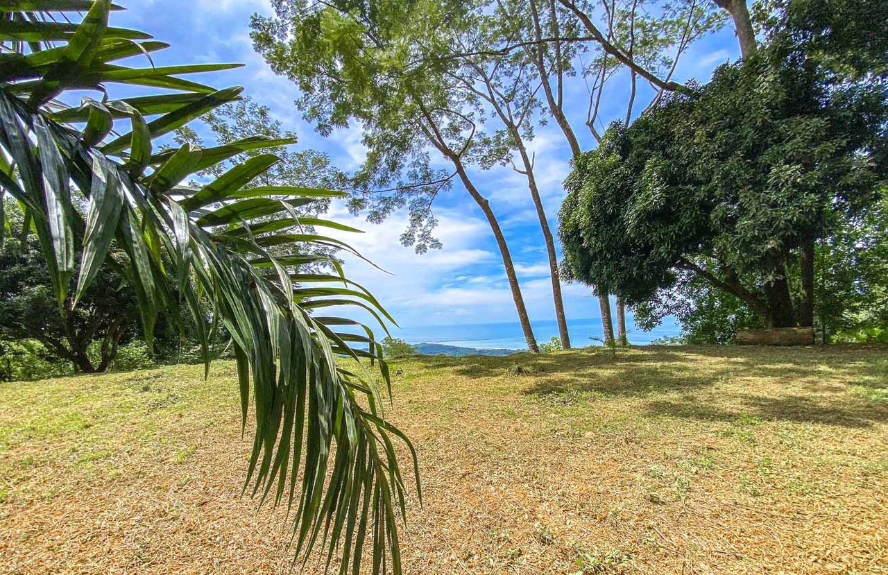 Large Uvita Lot With Whale’s Tail Ocean Views, Sunsets & Legal Water – Ready to Build!