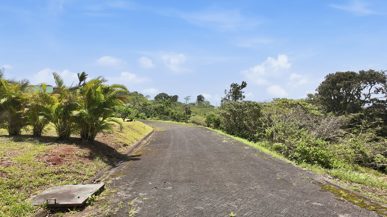 LAKEFRONT LOT - TURTLE COVE - LAKE ARENAL 