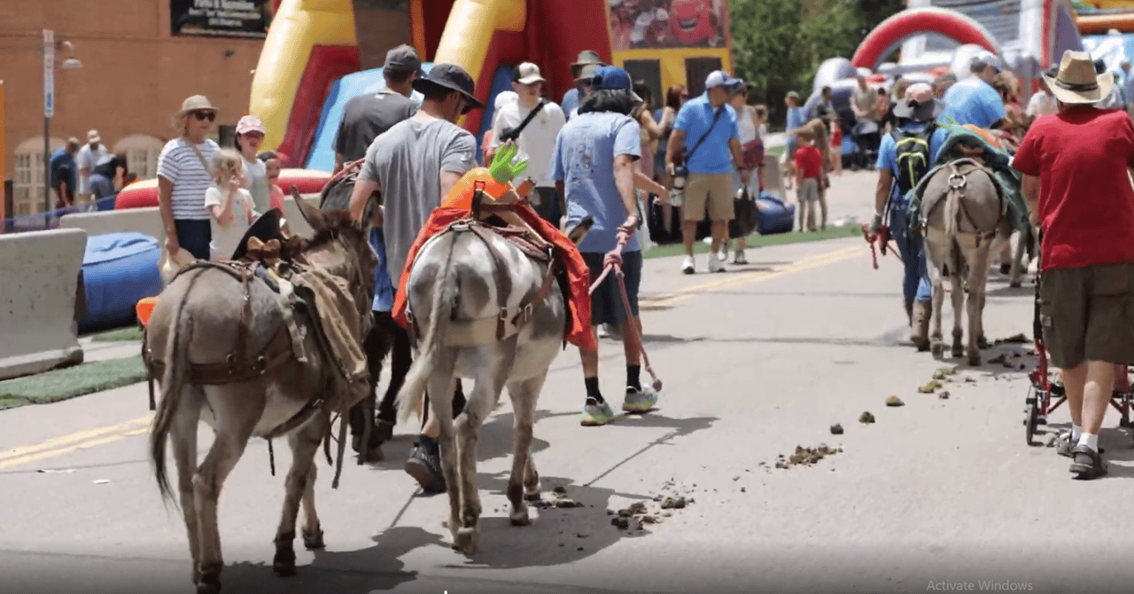 A Colorado Classic: Inside Cripple Creek’s Donkey Derby Days
