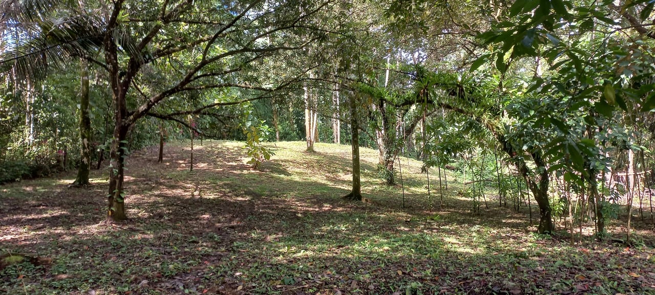 Luxury Rainforest Home + Guest House on 11 acres