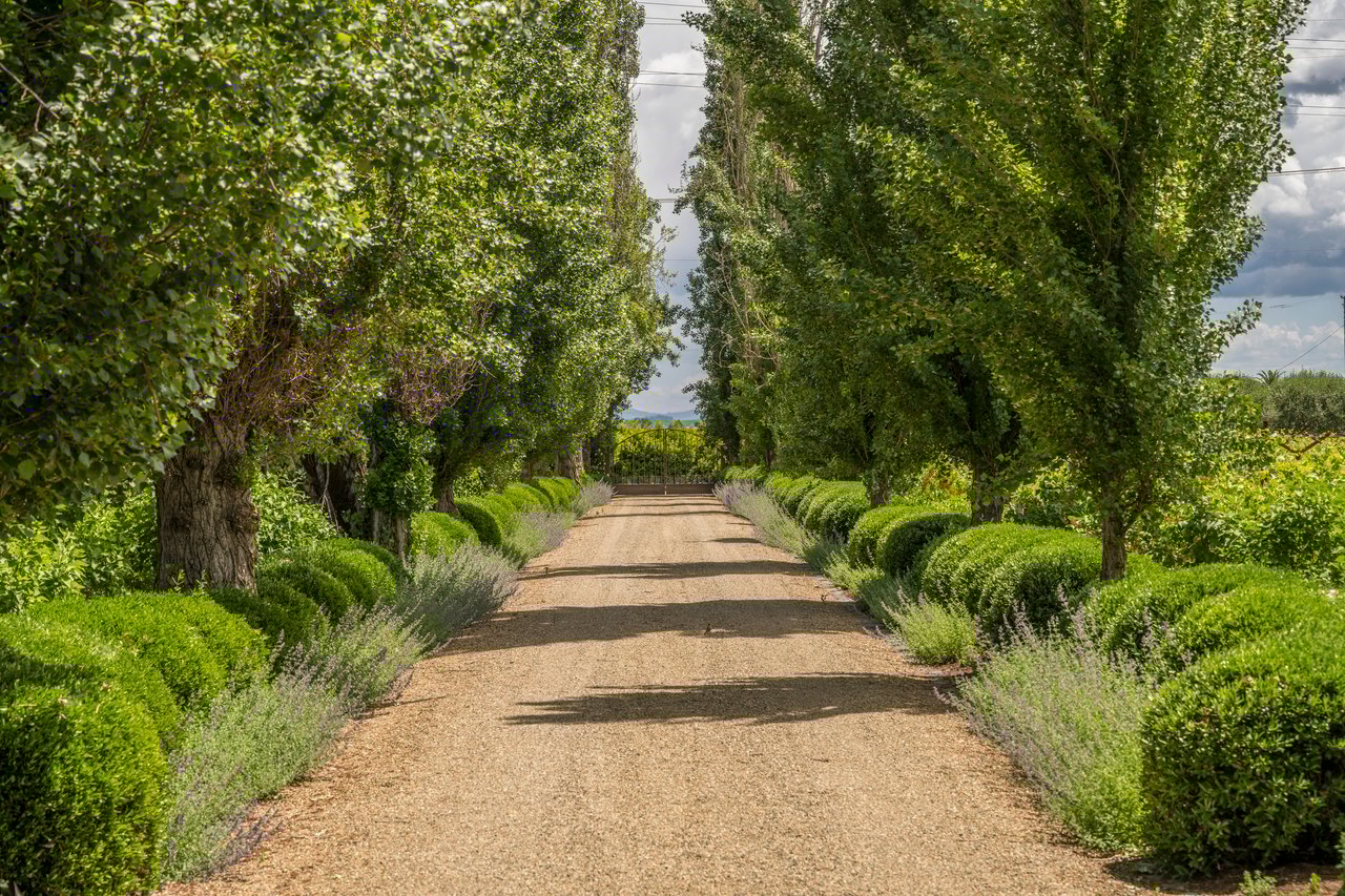 Mills Lane, St. Helena