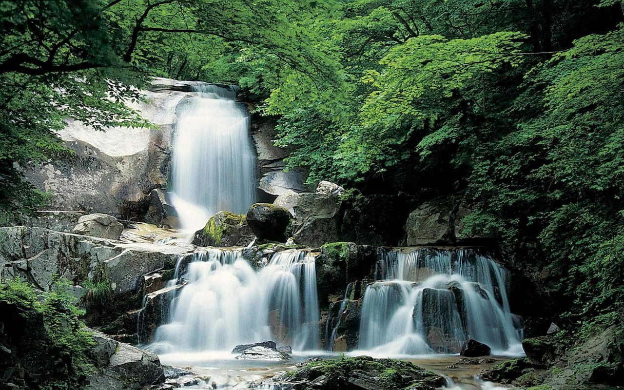 Best Local Waterfalls