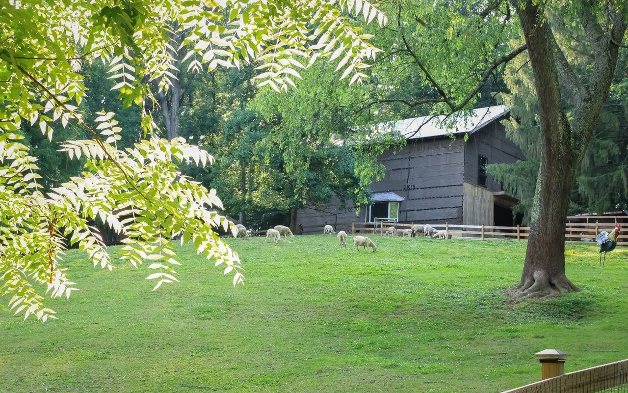 Olney