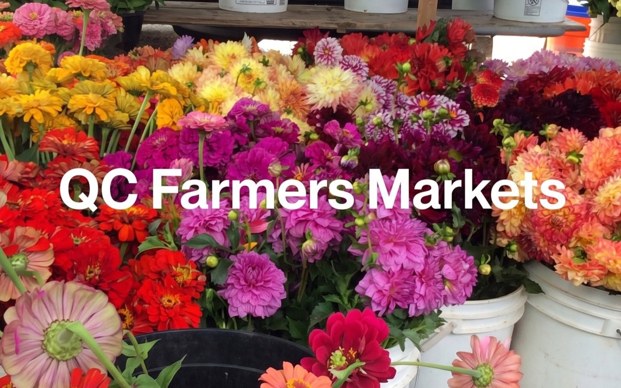 A Fresh Taste of the QC: Exploring Charlotte’s Farmers Markets