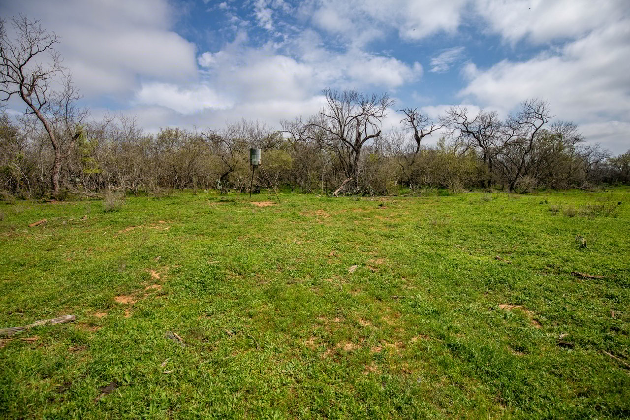 Dry Hollow Creek Ranch | 24.29± Acres | Bexar County