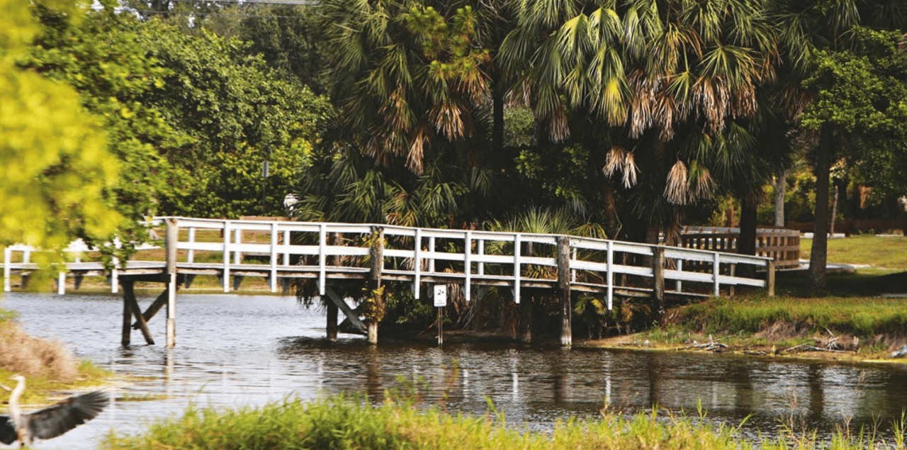 White wooden bridge over water surrounded by palm trees and greenery in Coconut Creek, Florida park.