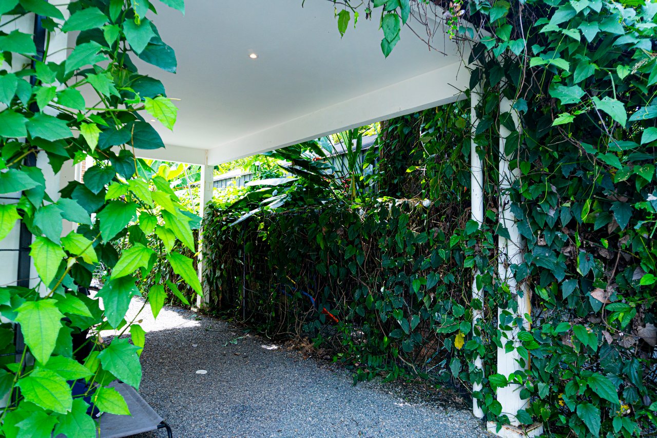 Modern Elegance Meets Tropical Lifestyle in Uvita