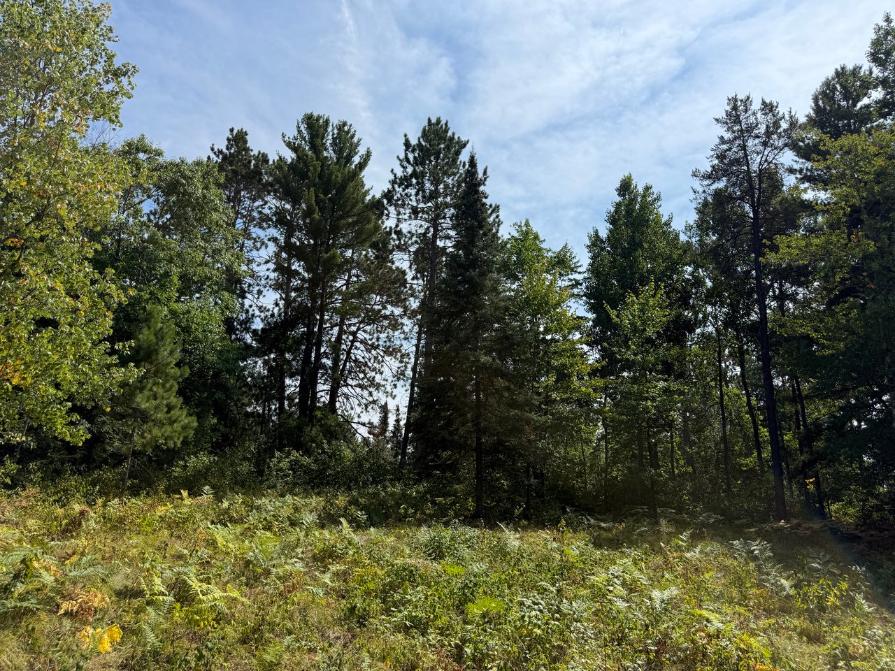 Lot 38 & 39 Stone Pine Drive