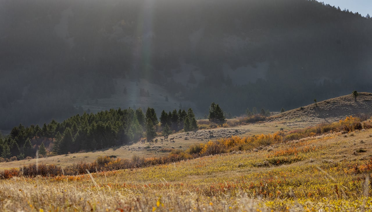 Box Elder Ranch