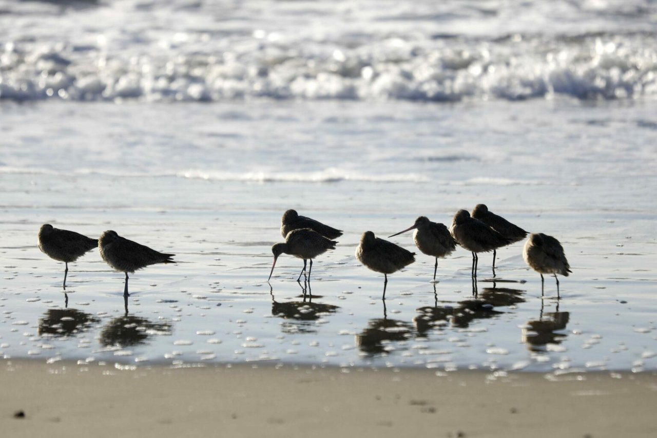 Our Favorite Places To Relax and Restore in Sonoma County