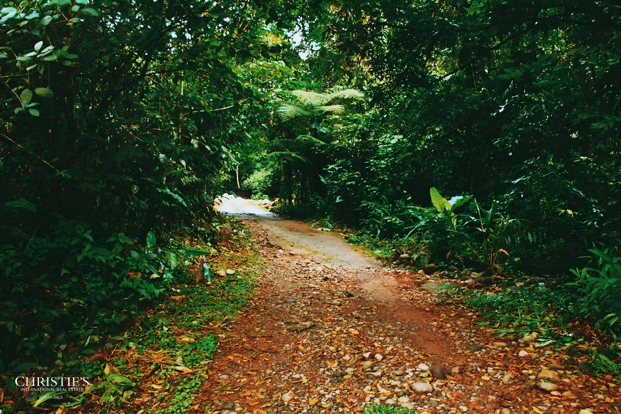 Finca Isla Rainforest Retreat – A Rare Income-Producing Paradise