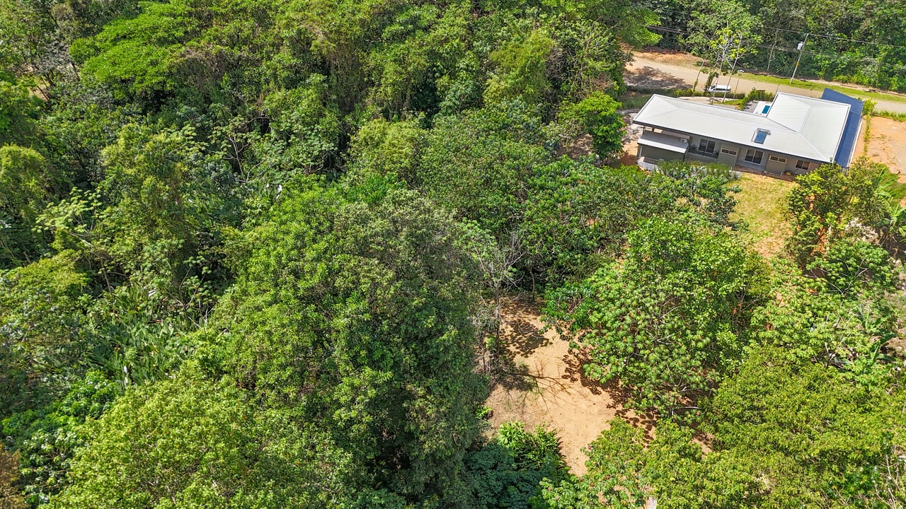 Brand New Tropical Jungle Home in Ojochal