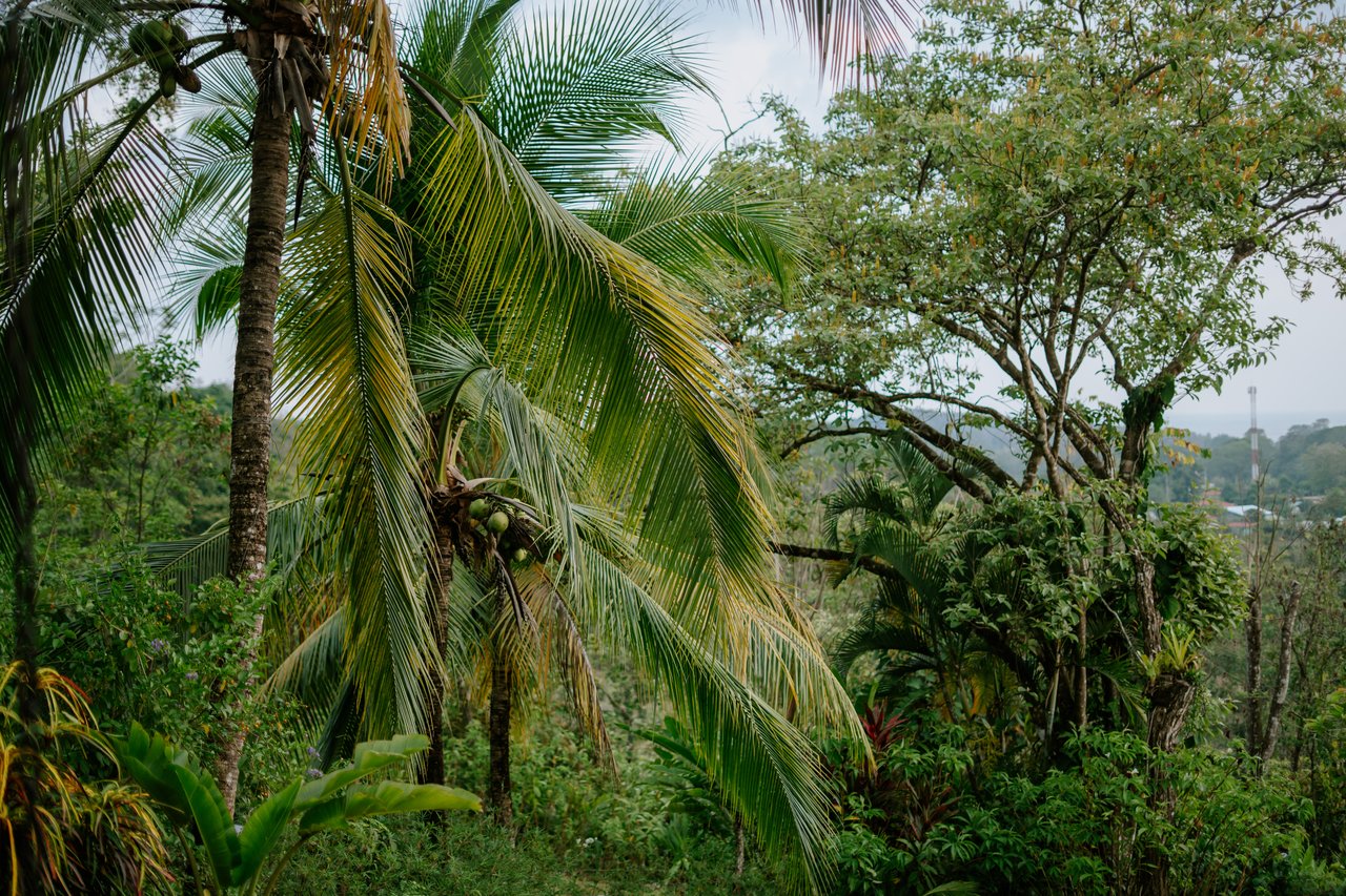 Ocean Peek Paradise Villa - 3 Bed - 1 Bath With a Pool in Hatillo
