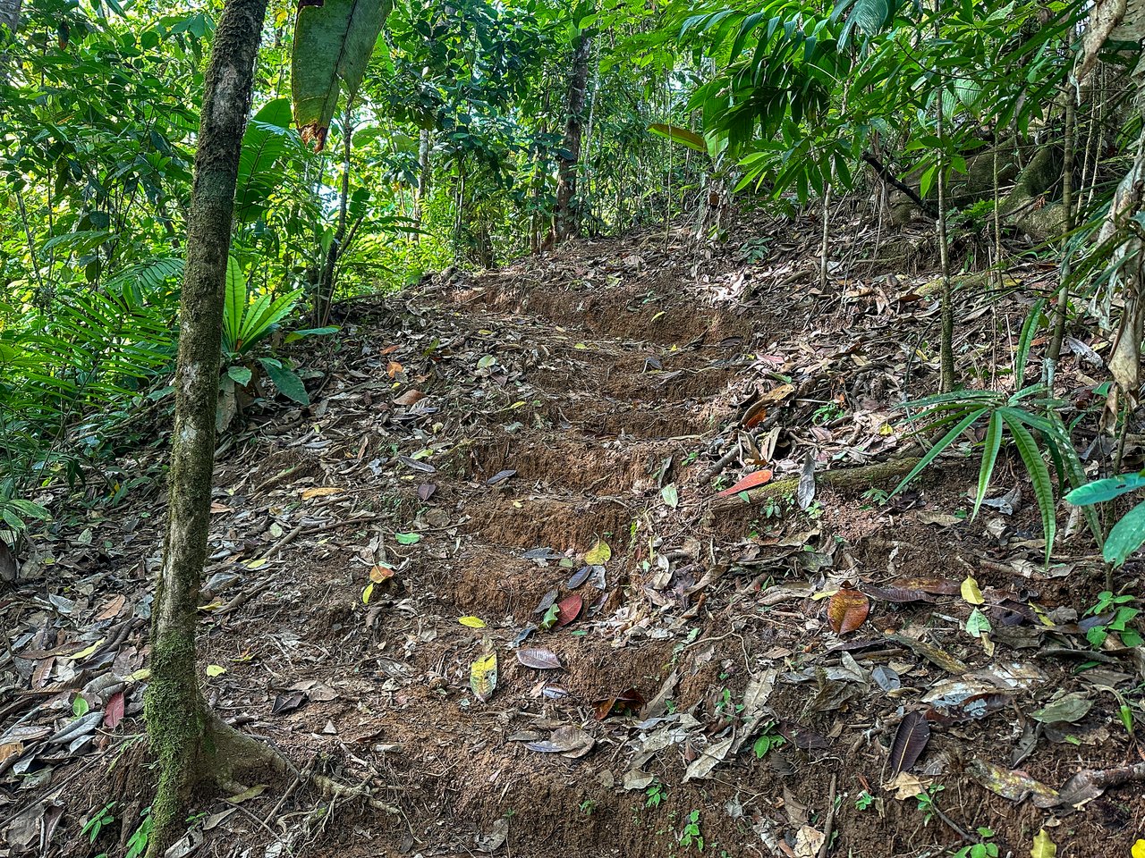 A Huge Rainforest, River & Waterfall Property With TWO Mountain & Jungle-View Luxury Homes on a Massive 4.93 Acre Lot – PLUS an Additional Plantel ready for Development