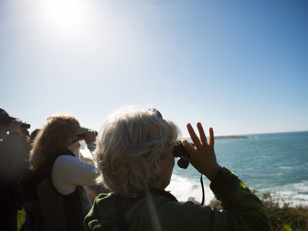 6 Fun Things to Do in Bodega Bay