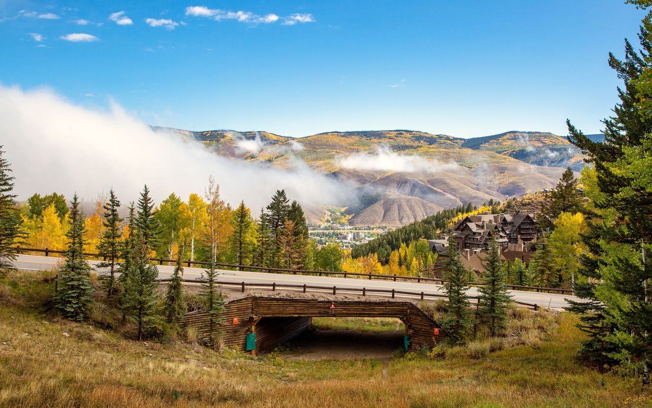 Bachelor Gulch