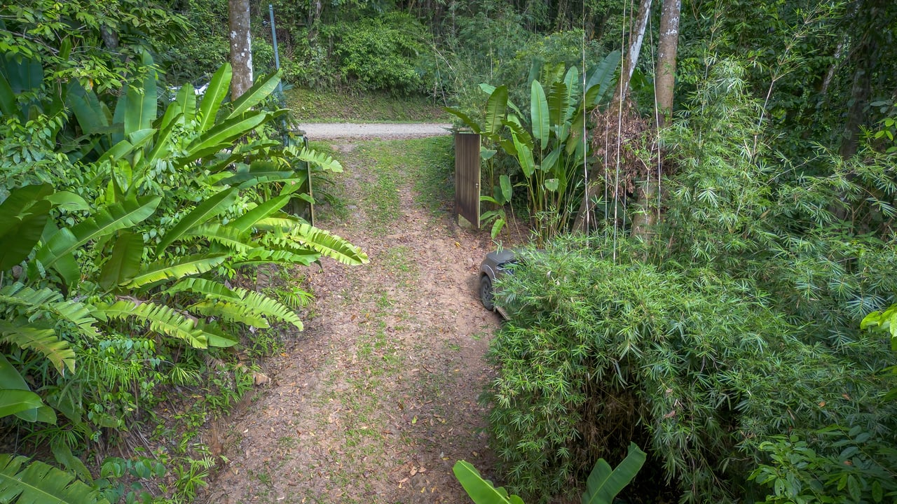Private Jungle Oasis ! 1 Bed, 1 Bath Hatillo Haven