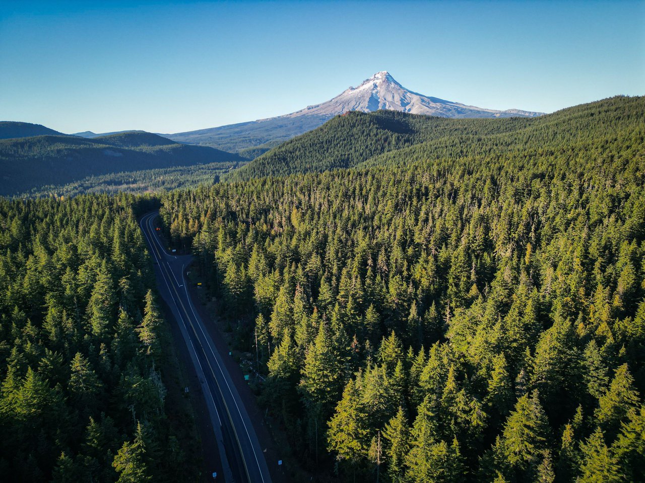 Winding road through evergreen forest leading toward a snow-capped mountain.
