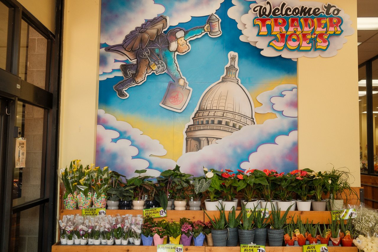 Your Ultimate Guide to Monroe Street in Madison, WI
