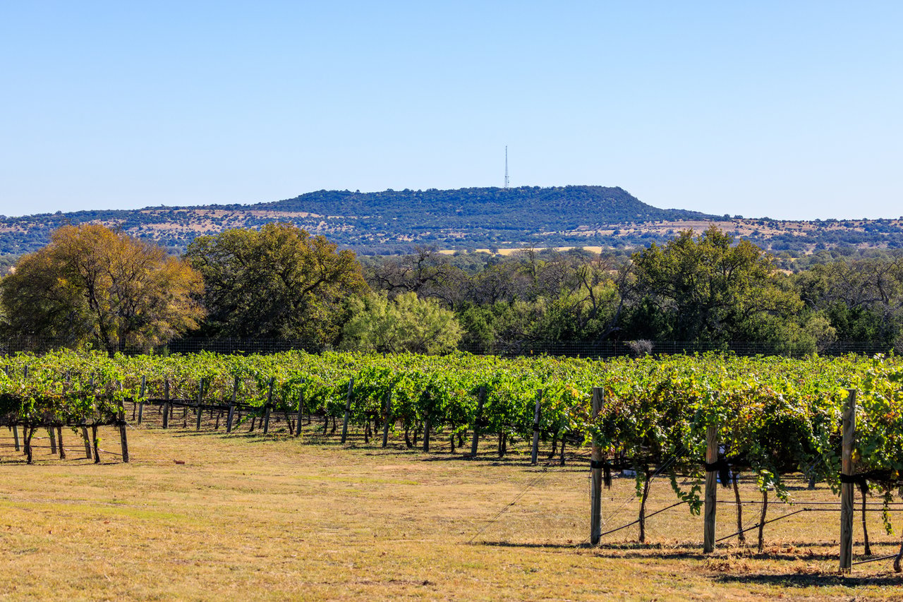 Round Mountain Vineyard