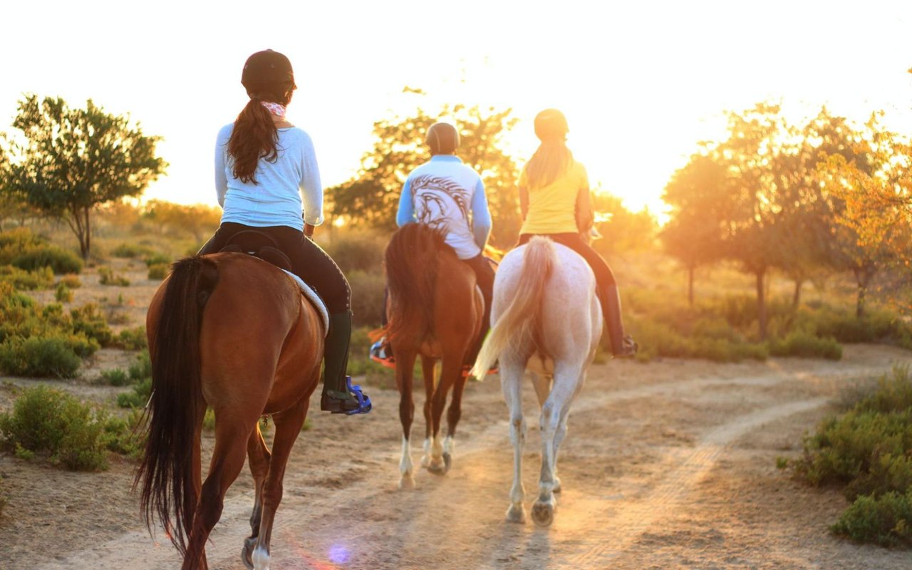 A Local's Guide on Things to Do in Chardon