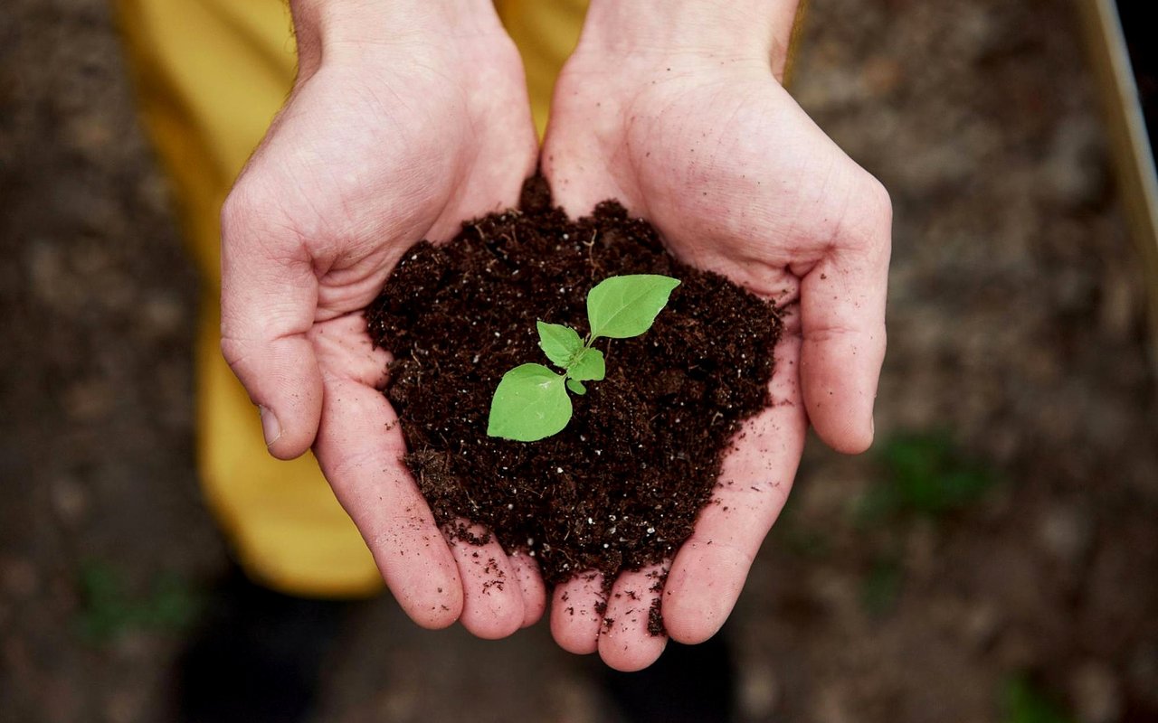 Tips for Making Your Home More Eco-Friendly