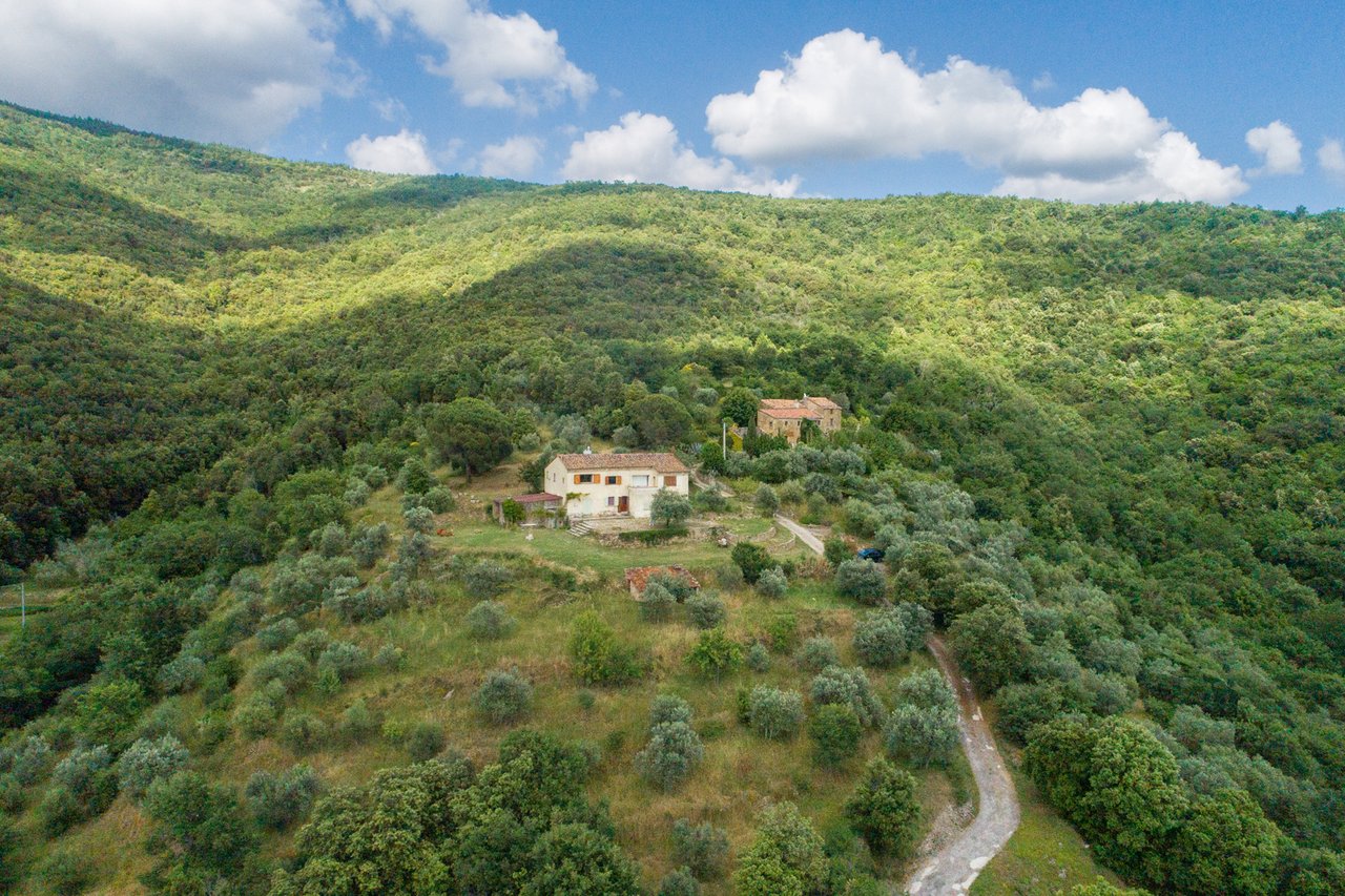 CASALE L'ALLORO