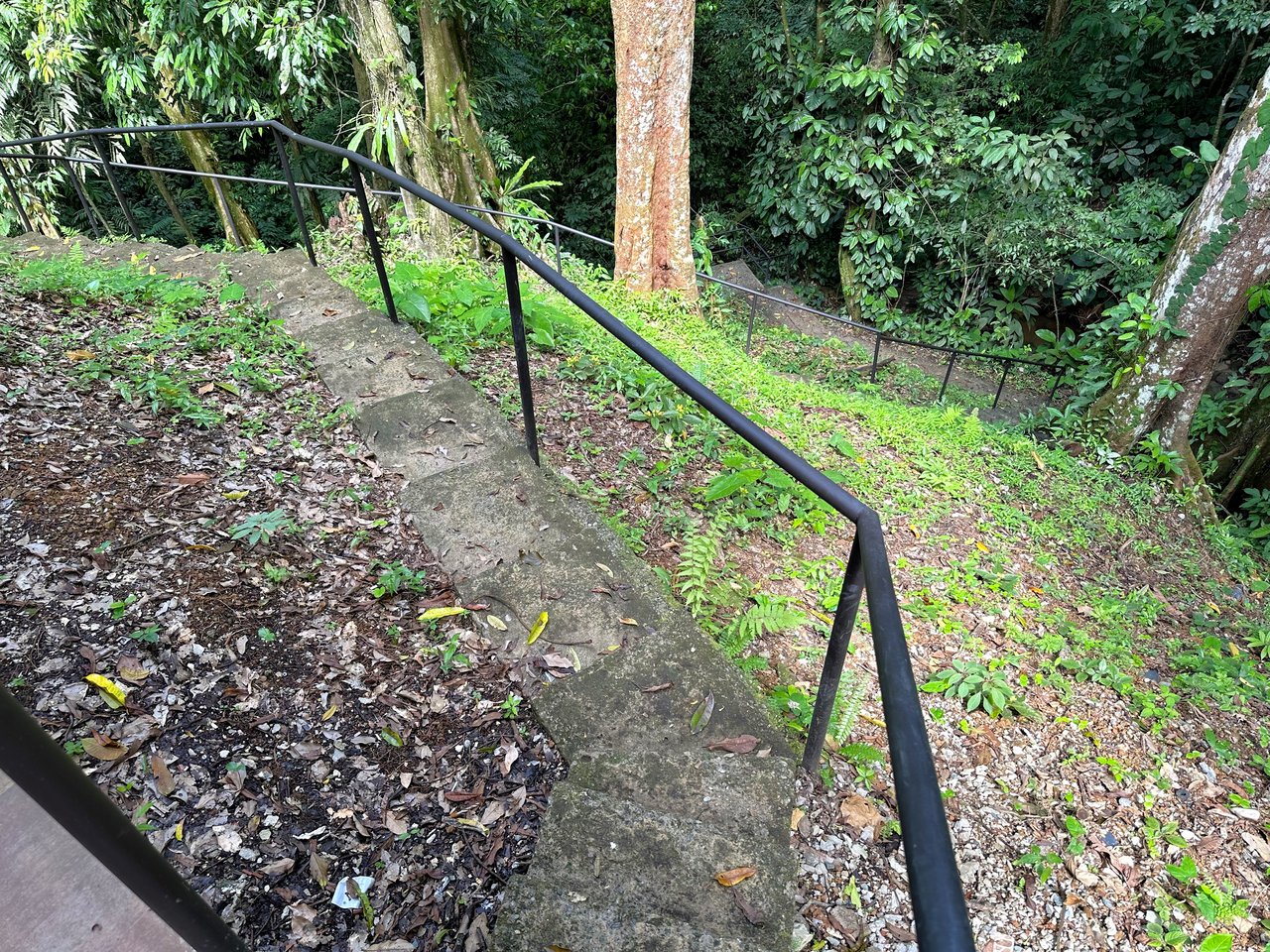 FIRE SALE! Jungle, Rivers, a Waterfall and Panoramic Ocean View