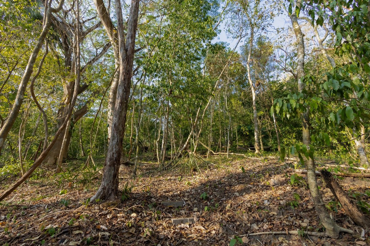 Exclusive Ocean View Development Homesite, Santa Teresa, Puntarenas