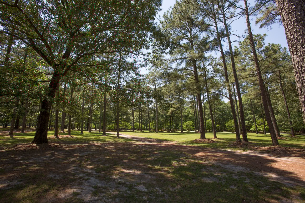 Equestrian Estate at 411 New Hope Church Road